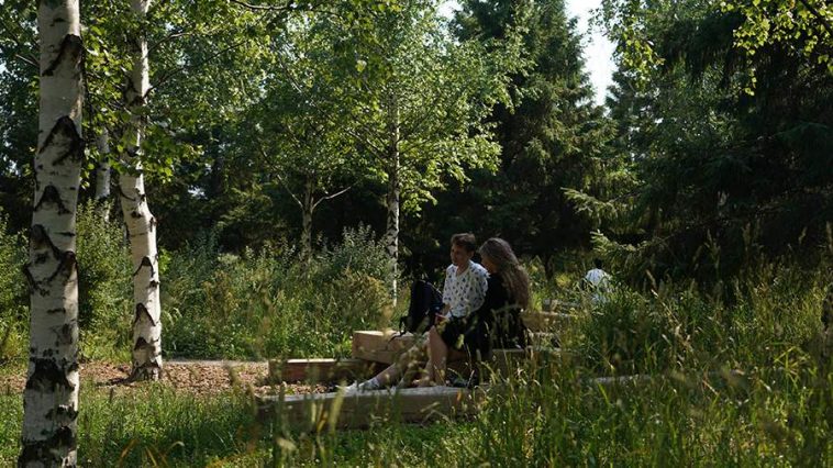 Вильфанд рассказал о теплой погоде в начале июля почти по всей России 