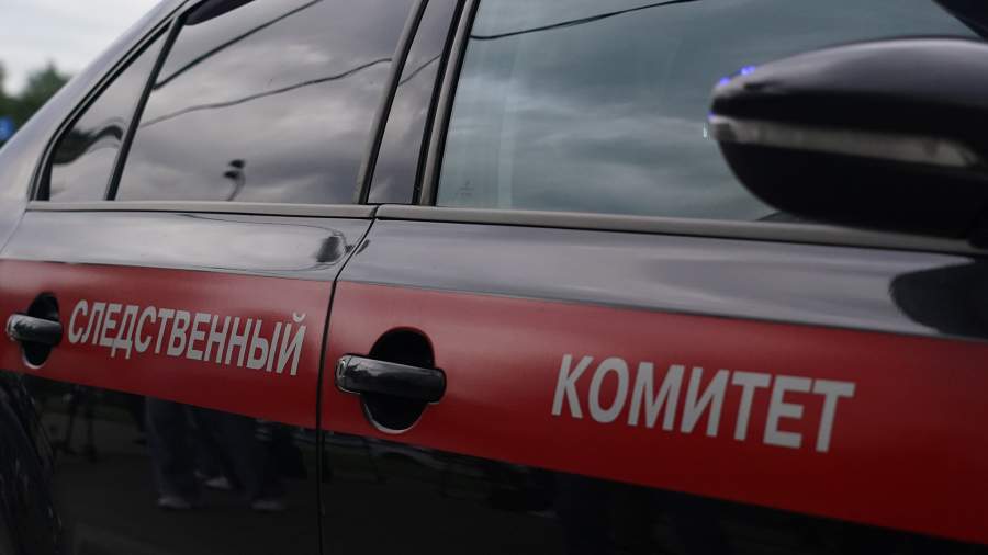 Бастрыкин поручил ГСУ СК провести проверку после массовой драки в Москве 