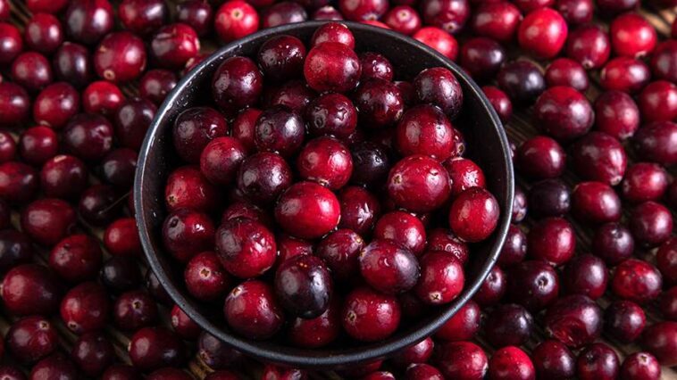 Диетолог назвала укрепляющие иммунитет осенние ягоды 