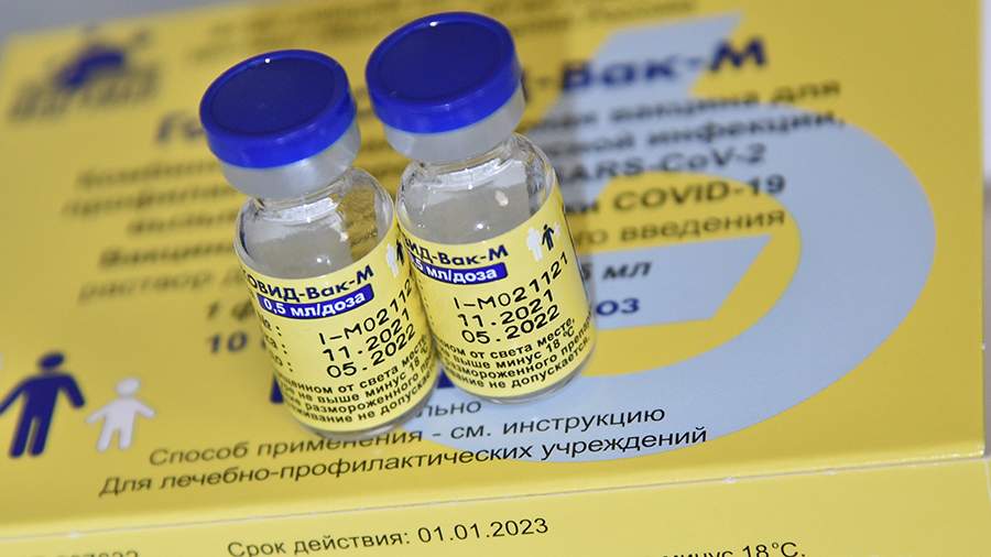 Гинцбург исключил мультисистемный синдром при вакцинации «Спутником М» 