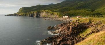 «Ни разу не нашел ни одного кошелька». 7 вопросов дворнику