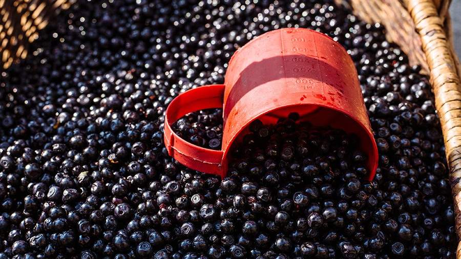 Врач назвал продукты для сохранения молодости кожи 