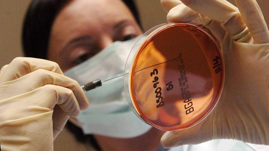 В РФ не выявили случаев сальмонеллеза после употребления продукции Kinder 