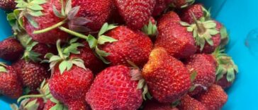 Россия сохранила членство в Международной федерации санного спорта