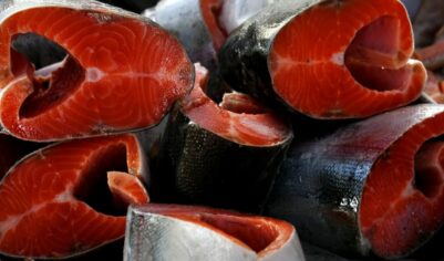 Запад выталкивает Россию на самый быстрорастущий рынок морепродуктов в мире