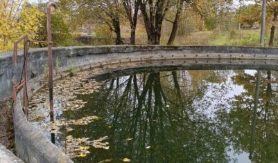 «Мы будто живем в канализации!»: жители Наро-Фоминска задыхаются от вони