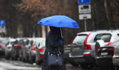 Синоптик спрогнозировал мокрый снег в Москве 14 октября