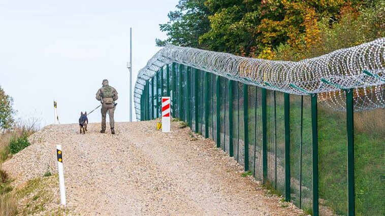 ФСБ задержала незаконно перешедшую границу Эстонии и РФ украинку с болторезом