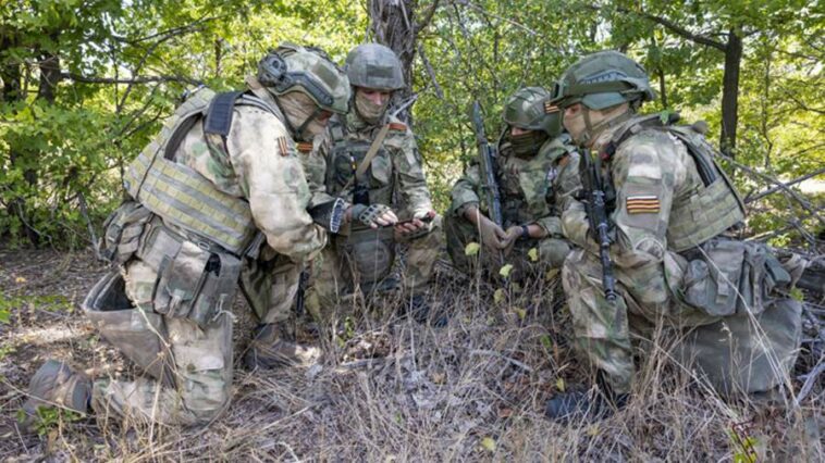 В ДНР спецназом Росгвардии было обнаружено более 2 тыс. снарядов и мин за месяц