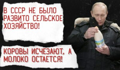 Путинское чудо: количество коров в стране снижается, а производства молока только растёт