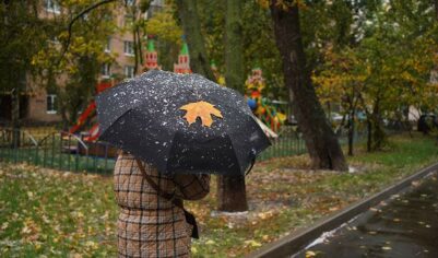 Синоптики спрогнозировали снег и до +2 градусов в Москве 3 ноября