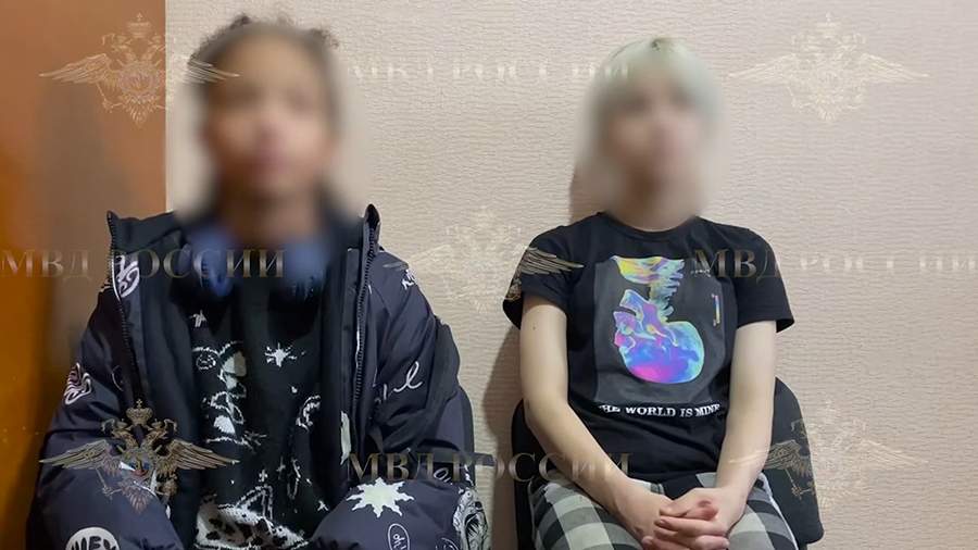 Похитившие кота из зоомагазина девочки рассказали о судьбе животного