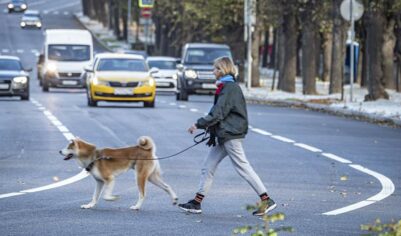 В Гидрометцентре пообещали москвичам потепление до +8 градусов 9 ноября