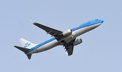 Самолет экстренно сел на Бермудах из-за вони от свиней