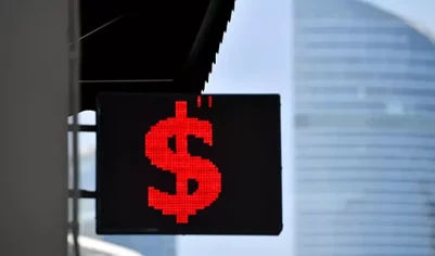 Стало известно, насколько доллар вырос к рублю за 2024 год