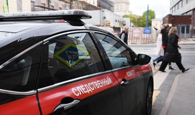 В деле об убийстве россиянки с детьми появились новые подробности