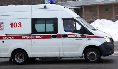 Пенсионер из Подольска погиб в результате падения спиленного им дерева