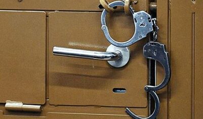 Надругавшегося над малолетними детьми россиянина отправили в колонию