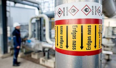 Константинов: США развязали газовую войну против Европы