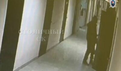 Педофил напал на 8-летнюю девочку в московской гостинице