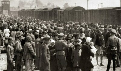 Выяснились детали загадочного исчезновения из Госархива фотографий жертв Освенцима