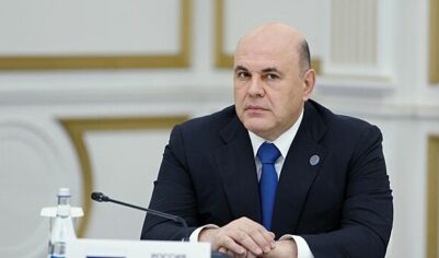 Госдума обратилась к Мишустину из-за дорогой картошки