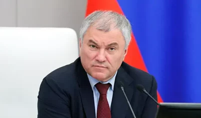 В Думе предложили усилить ответственность россиян за правонарушения за границей