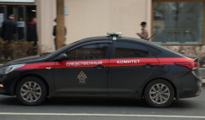 Убивать экс-мэра Самары и его жену внучке помогали из-за границы
