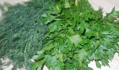 Лайфхак. Как сохранить укроп и петрушку свежими на длительное время вкусный рецепт с фото пошагово и видео
