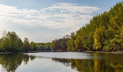 В подмосковной реке утонул 8-летний мальчик: спасать никто не рискнул