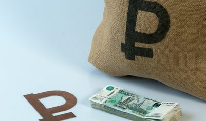Экономика РФ стала шестой в мире по независимости от экспорта