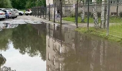 В Петербурге пожаловались на 15-летнюю лужу