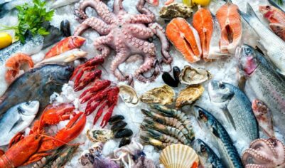 Легко и питательно: небанальные рецепты с морепродуктами от шеф-повара