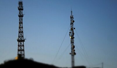 Радиостанция Судного дня «Жужжалка» передала уже 13 новых сообщений