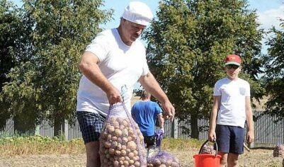 Лукашенко объяснил нехватку картошки внутриполитическими причинами
