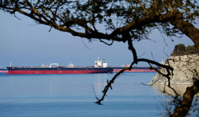 Стало известно, почему Россия начала проверять танкеры в Черном море