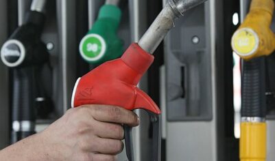 Большинство стран Европы обогнали РФ по доступности бензина