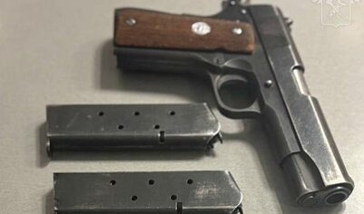 Гражданку США с пистолетом и чеком на 138 тысяч долларов задержали во Внукове