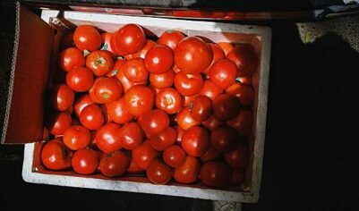 Назван один из самых подешевевших в России овощей