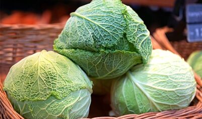 Эксперт Траутман: В августе «борщевой набор» в РФ подешевеет