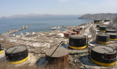 Индия может отказаться от поставок российской нефти: названы последствия