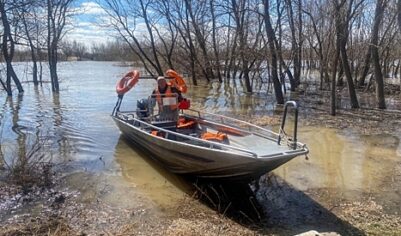 Спасатели начали эвакуацию: в Чите река вышла из берегов и затапливает город