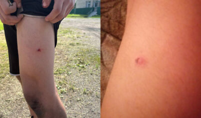 Школьная травля переросла в расстрел под Новосибирском