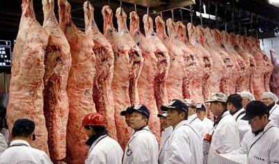 Спустя почти четверть века Китай снова начал покупать у Японии один товар