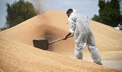 Один из видов российского экспорта упал почти в три раза