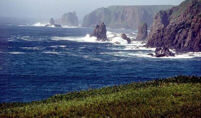 Посольство Германии ответило на протест МИД России