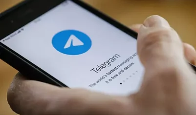 Депутат Немкин: Telegram и WhatsApp много лет демонстрируют нежелание соблюдать законы РФ