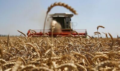 Венгрия сохранит запрет на поставки зерновых с Украины