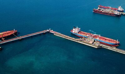 Индия хочет увеличить закупки российской нефти, несмотря на давление США
