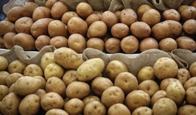 Россия остановила импорт картофеля из Грузии